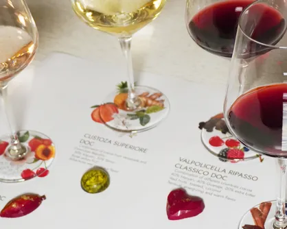 The Wines of Garda